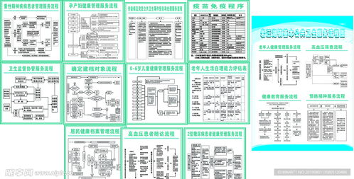 公共衛(wèi)生服務(wù)流程圖的優(yōu)化設(shè)計(jì)與信息系統(tǒng)集成服務(wù)融合路徑探析